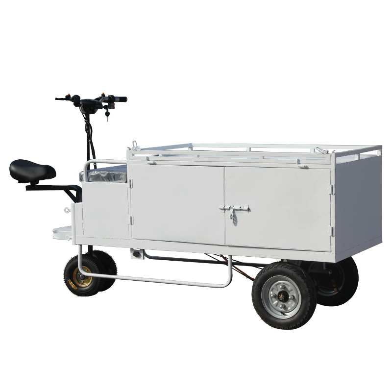 Electric tricycles for street  - Snacks Food Ready To Eat 评论和价格