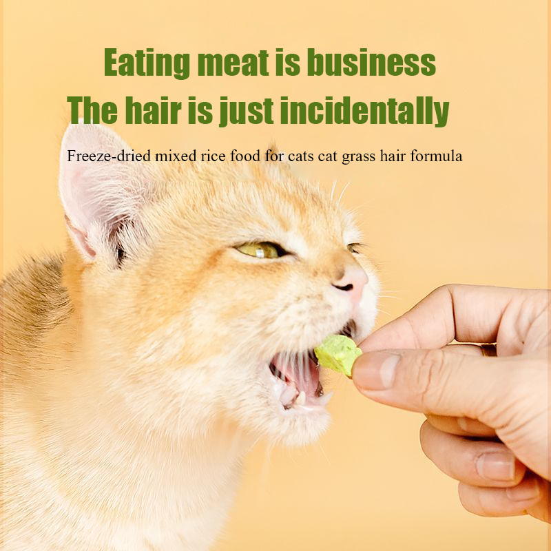 Cat grass freeze-dried meat sq - Snacks Food Ready To Eat 评论和价格